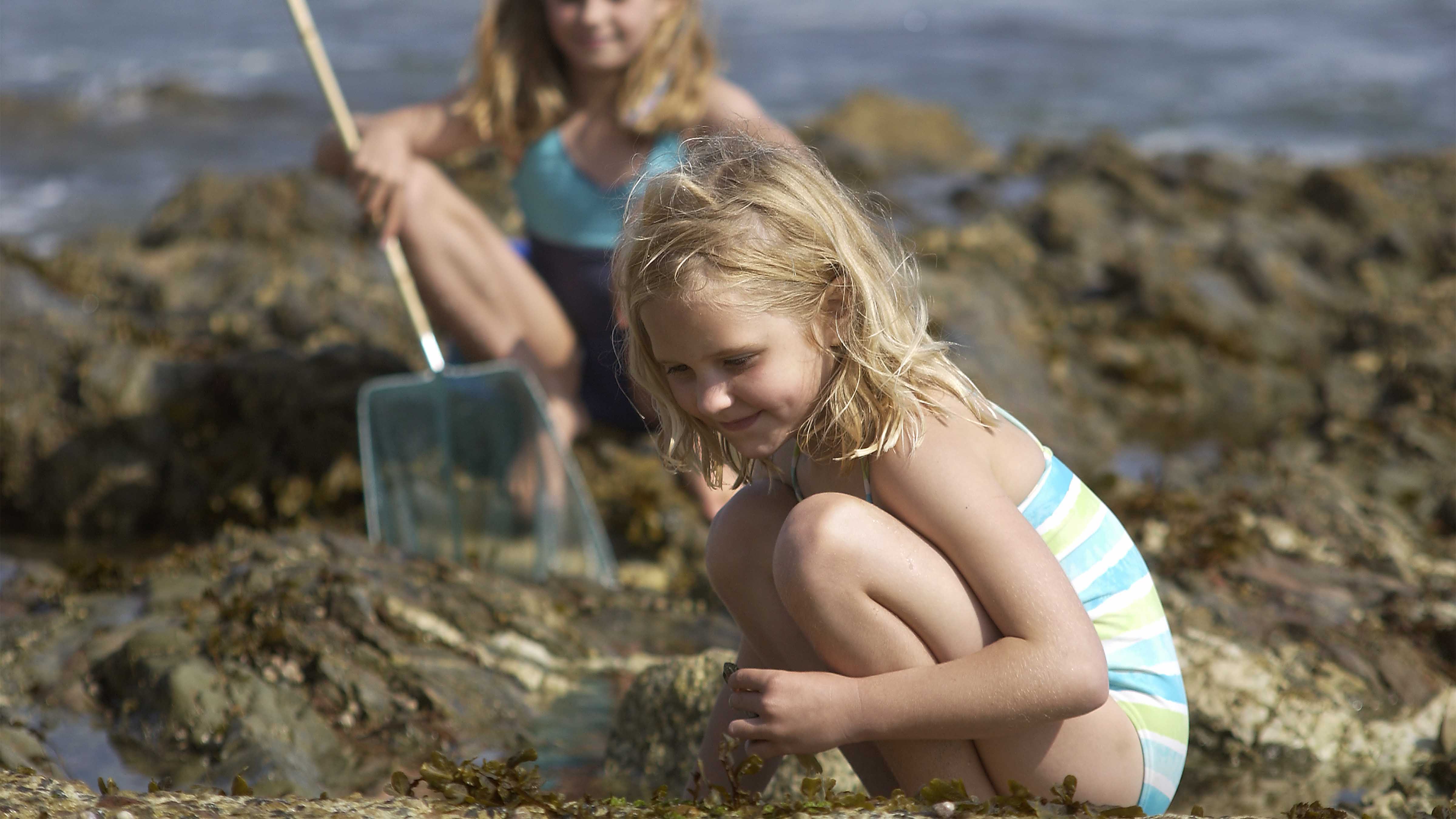 Gylly Rockpool Children