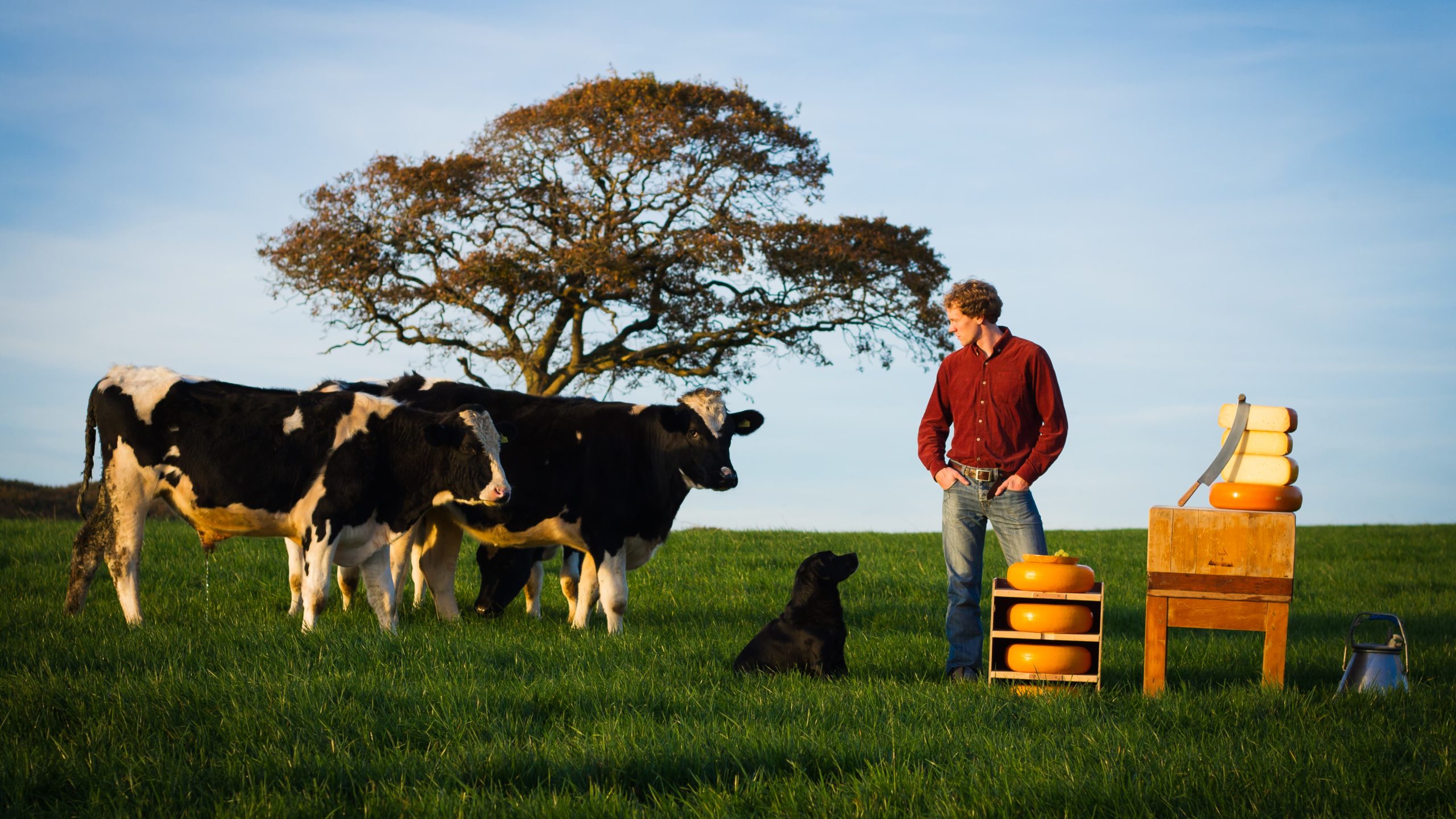 St Michaels Resort Farming
