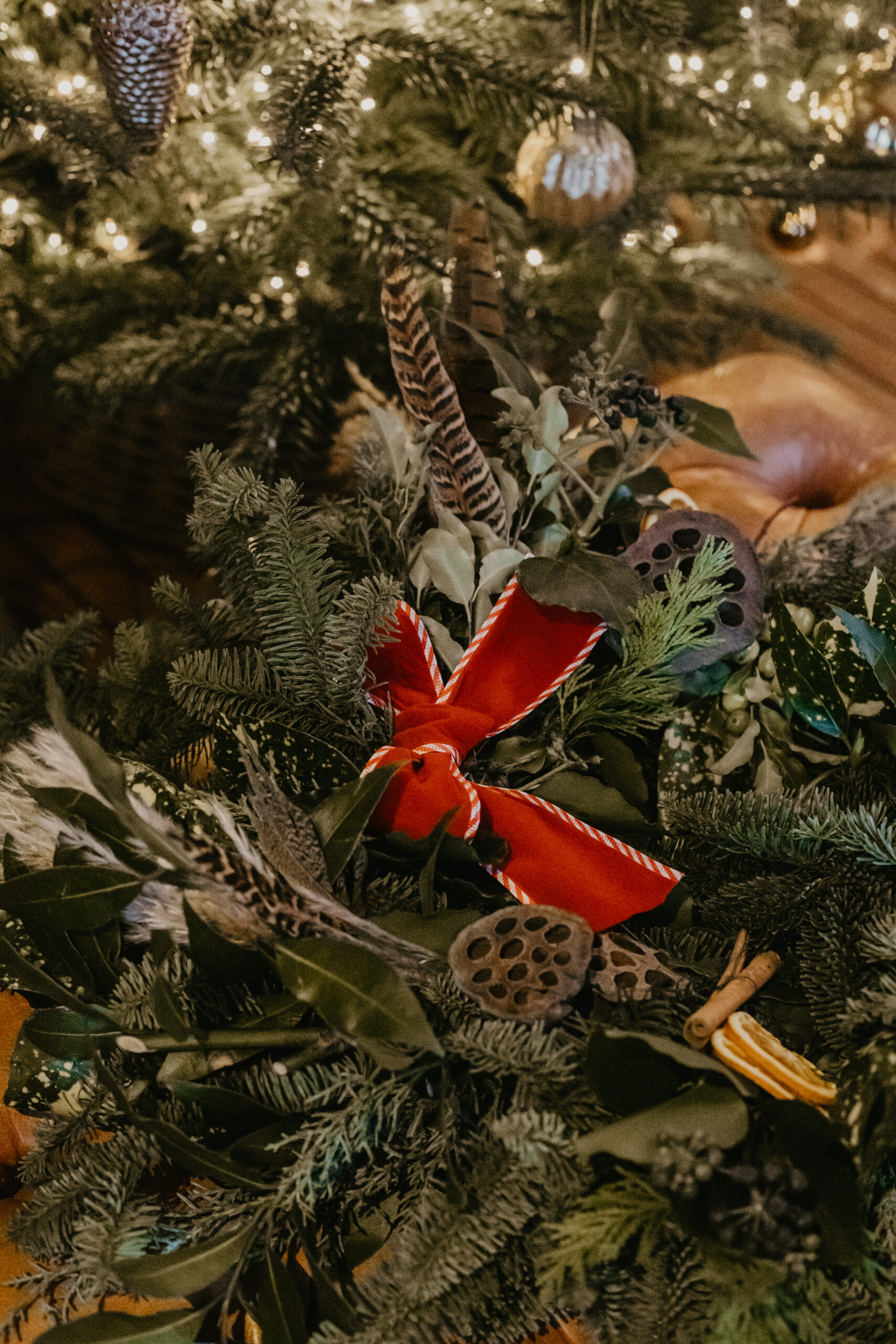 Festive wreath of fresh foliage, dried lotus pods, feathers and dried orange slices finished with a red velvet bow, beside a twinkling Christmas tree